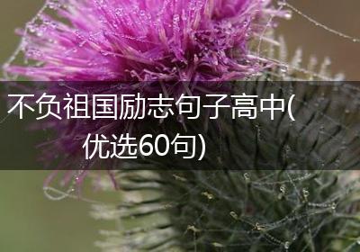 不负祖国励志句子高中(优选60句)