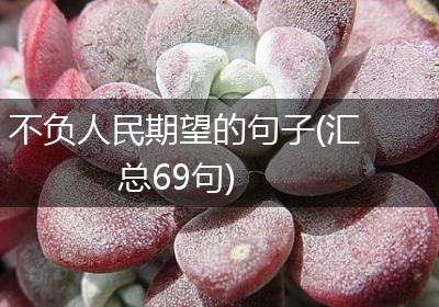 不负人民期望的句子(汇总69句)