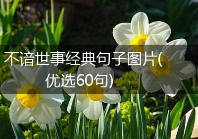 不谙世事经典句子图片(优选60句)