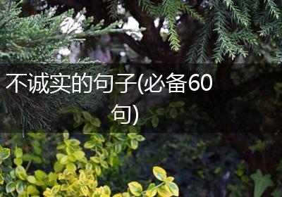 不诚实的句子(必备60句)