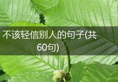 不该轻信别人的句子(共60句)