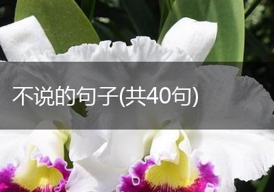 不说的句子(共40句)