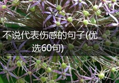不说代表伤感的句子(优选60句)