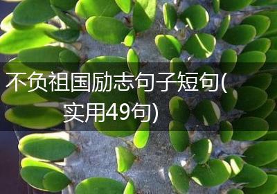 不负祖国励志句子短句(实用49句)