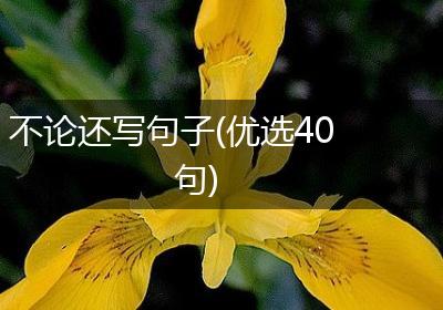 不论还写句子(优选40句)