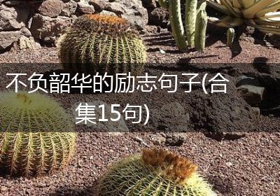 不负韶华的励志句子(合集15句)