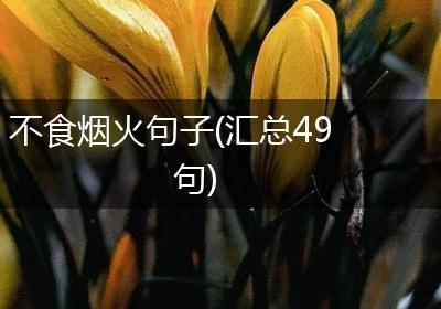不食烟火句子(汇总49句)