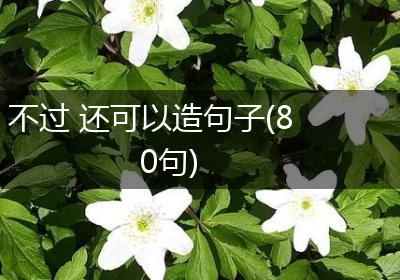 不过 还可以造句子(80句)