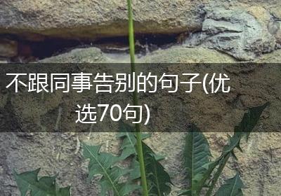 不跟同事告别的句子(优选70句)