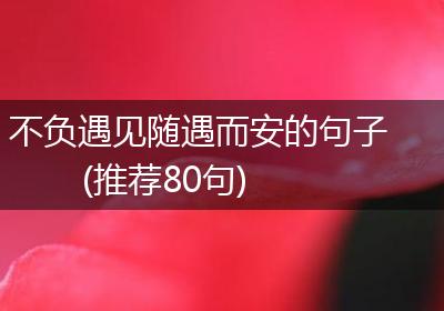 不负遇见随遇而安的句子(推荐80句)