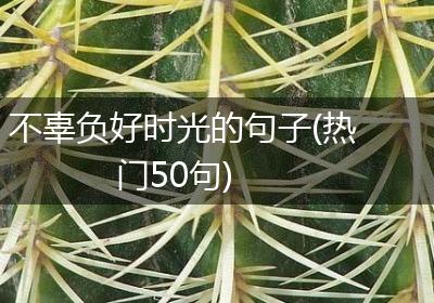 不辜负好时光的句子(热门50句)