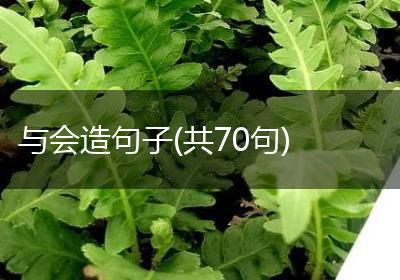 与会造句子(共70句)