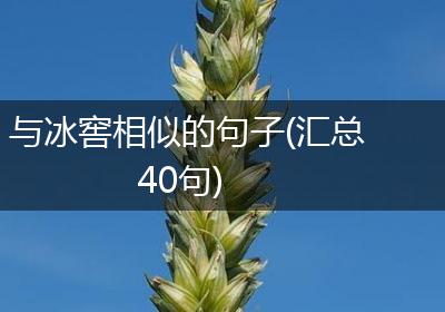 与冰窖相似的句子(汇总40句)