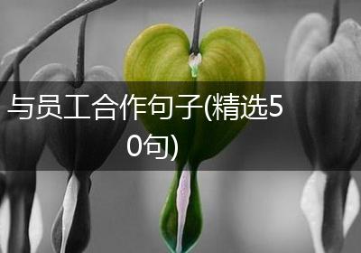 与员工合作句子(精选50句)