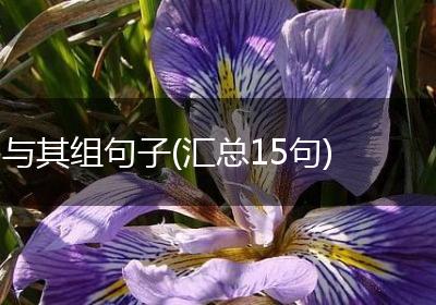 与其组句子(汇总15句)