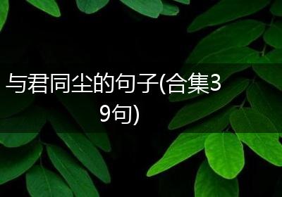 与君同尘的句子(合集39句)