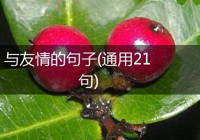 与友情的句子(通用21句)