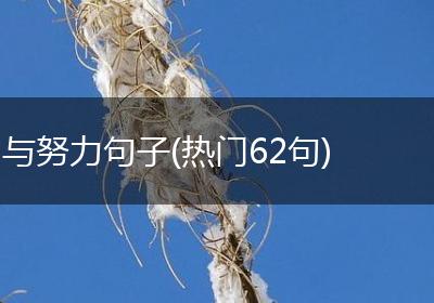 与努力句子(热门62句)