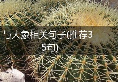 与大象相关句子(推荐35句)