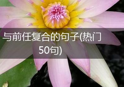 与前任复合的句子(热门50句)