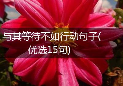 与其等待不如行动句子(优选15句)