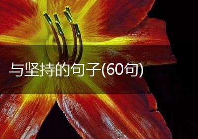 与坚持的句子(60句)