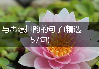 与思想押韵的句子(精选57句)