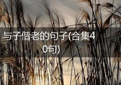 与子偕老的句子(合集40句)