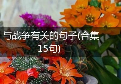 与战争有关的句子(合集15句)