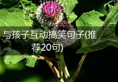 与孩子互动搞笑句子(推荐20句)