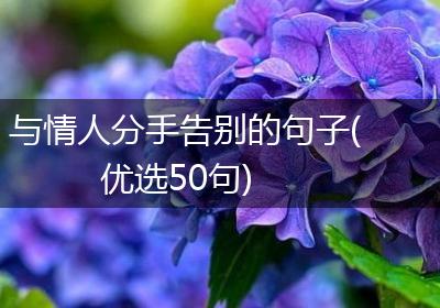 与情人分手告别的句子(优选50句)