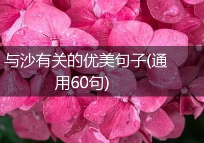 与沙有关的优美句子(通用60句)