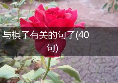 与棋子有关的句子(40句)