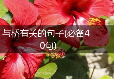 与桥有关的句子(必备40句)