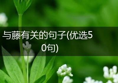 与藤有关的句子(优选50句)