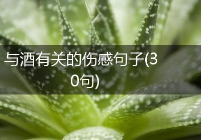 与酒有关的伤感句子(30句)