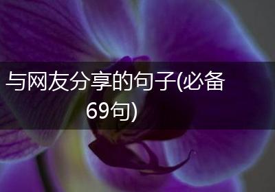 与网友分享的句子(必备69句)