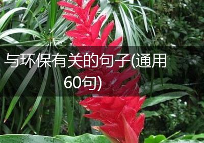 与环保有关的句子(通用60句)