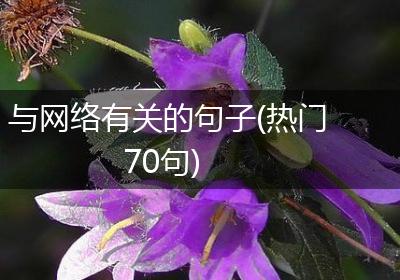 与网络有关的句子(热门70句)