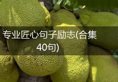 专业匠心句子励志(合集40句)