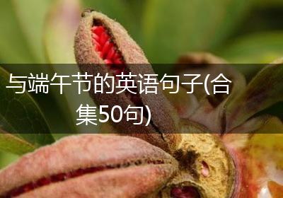 与端午节的英语句子(合集50句)