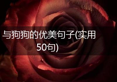 与狗狗的优美句子(实用50句)