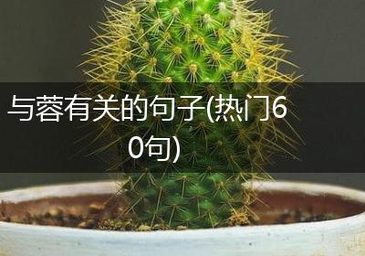 与蓉有关的句子(热门60句)