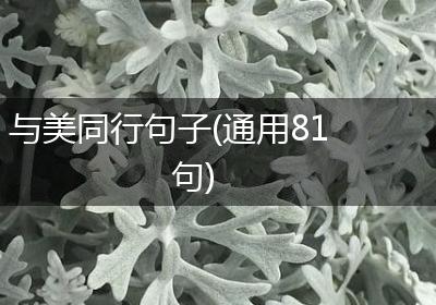 与美同行句子(通用81句)
