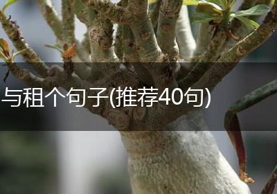 与租个句子(推荐40句)