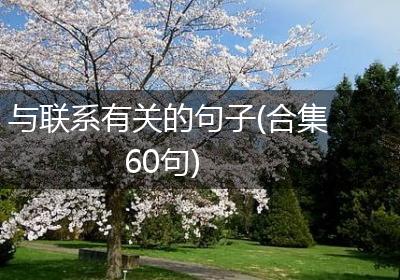 与联系有关的句子(合集60句)