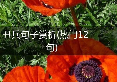 丑兵句子赏析(热门12句)