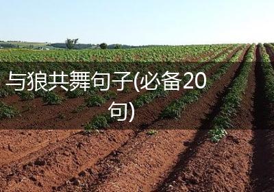 与狼共舞句子(必备20句)