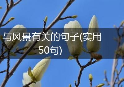 与风景有关的句子(实用50句)