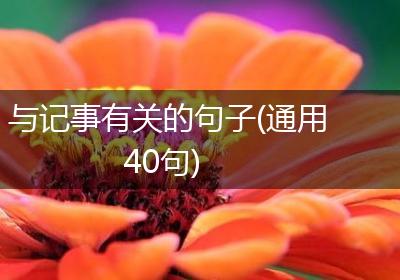 与记事有关的句子(通用40句)